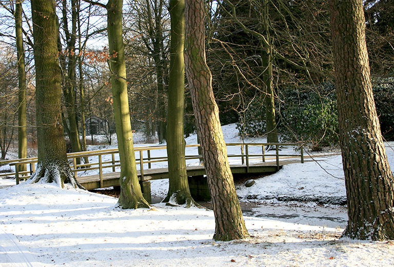 Friedhof Ohlsdorf im Winter