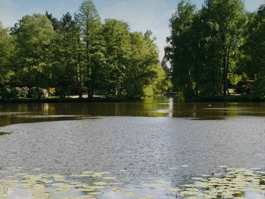 Friedhof Ohlsdorf Prökelmoorteich
