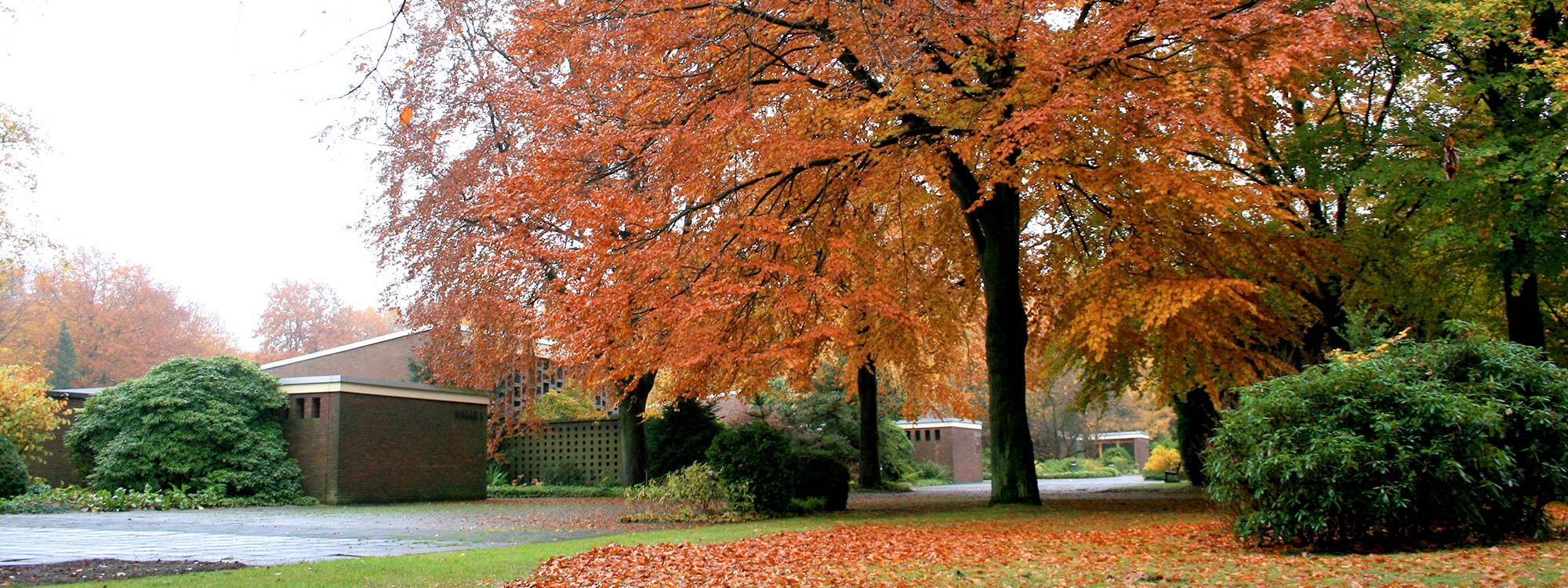 Aktuelles Friedhof Öjendorf