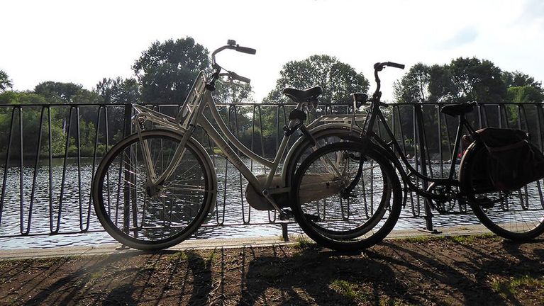 Teaserbild Fahrradlesung durch den Ohlsdorfer Friedhof